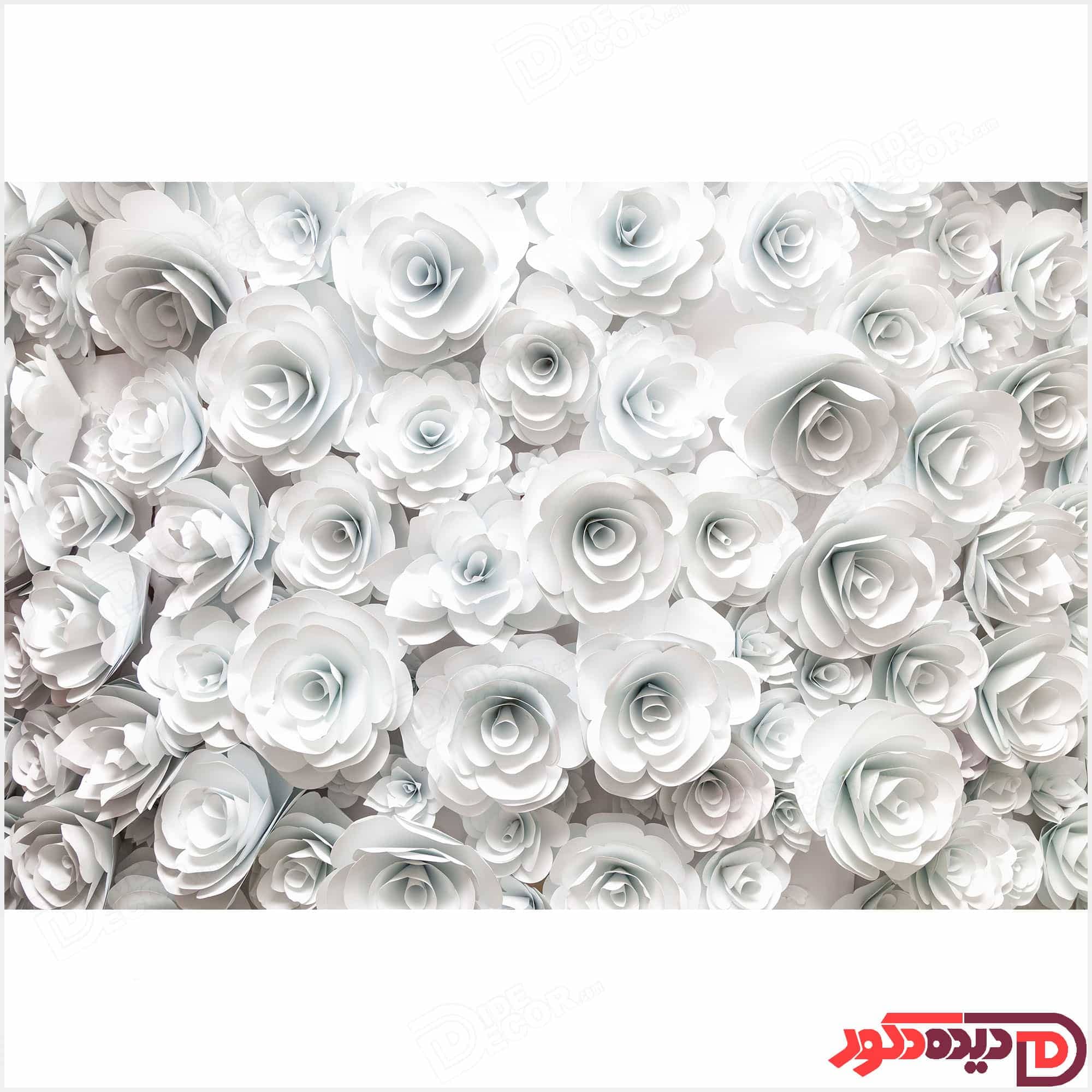 عکس تصویر چاپی گل های رز سفید رنگ کد 3DP-59-3