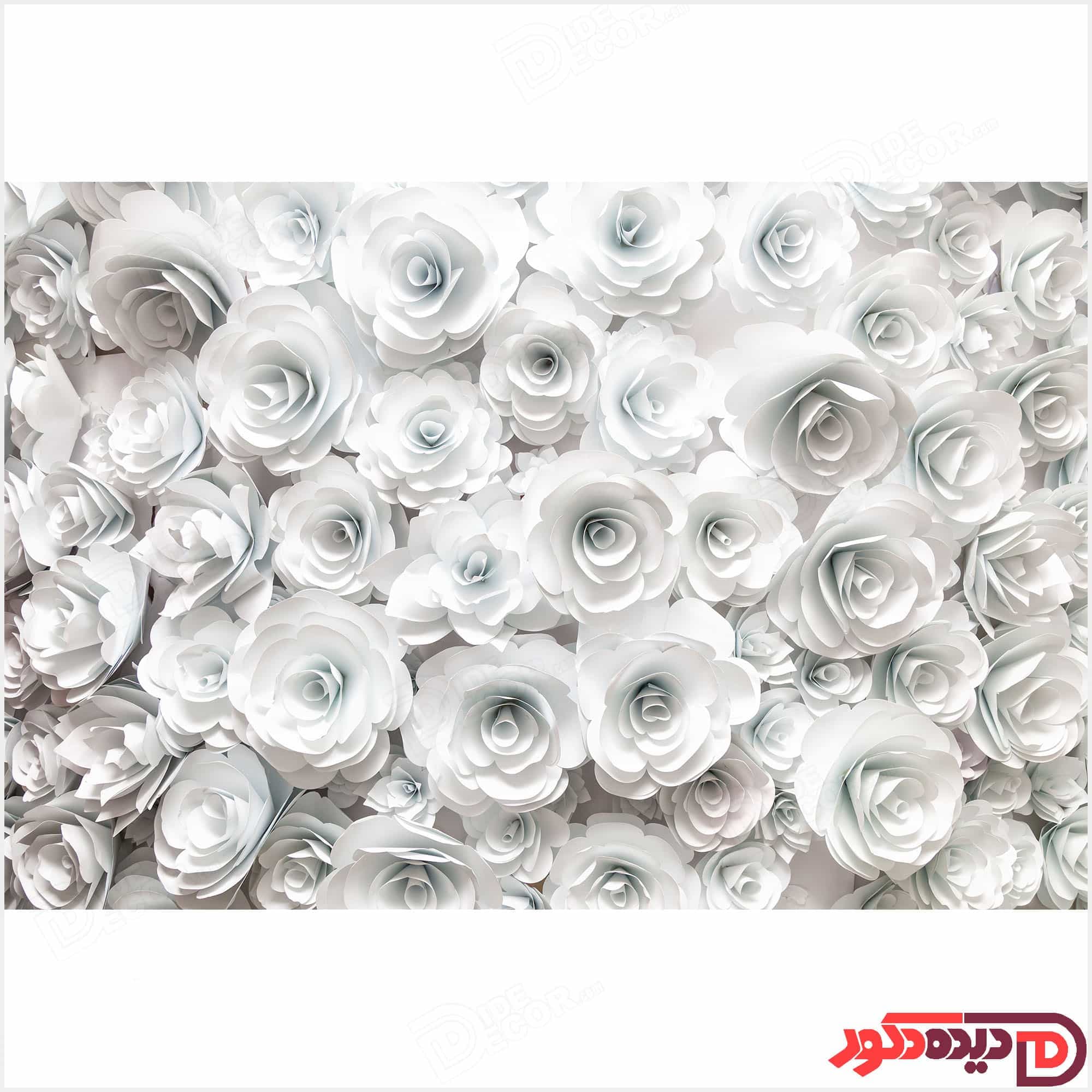 عکس تصویر چاپی گل های رز سفید رنگ کد 3DP-59-3