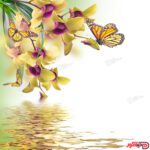 نمونه عکس و تصویر برای چاپ پرده زبرا کد AZ-07 با عکس گل زرد و پروانه