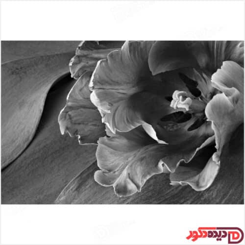 پرده زبرا تصویری گل مشکی و پس زمینه سیاه رنگ کد 3DF-125