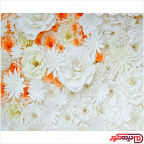 عکس گل رز سفید و نارنجی کد 3DP-102-3