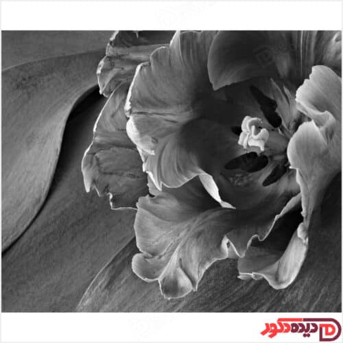 عکس تصویر چاپی گل سیاه و سفید کد 3DP-125-3