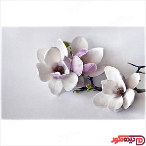 عکس چاپی شاخه گل چرمی سفید کد AZD-25-3