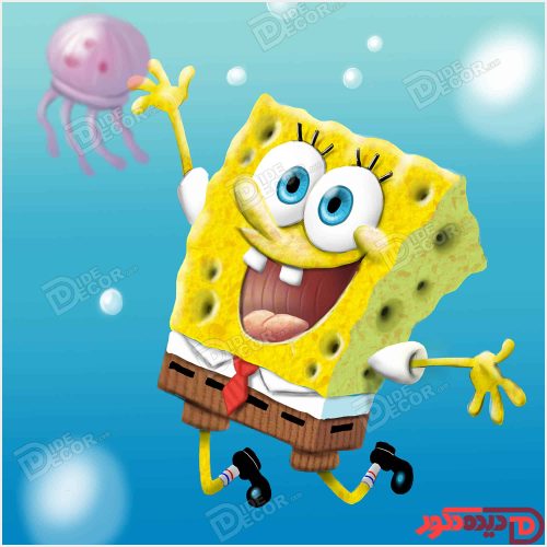 عکس باب اسفنجی کد KZD-010-C عکس باب اسفنجی کد KZD-010-C