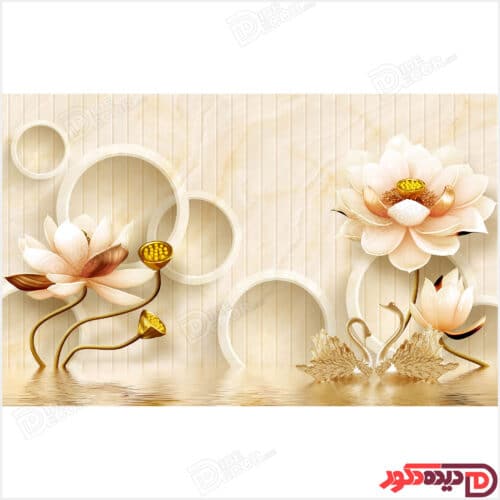 دو قو و گل نیلوفر کرم سه بعدی ghoo-05