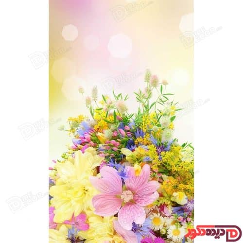 پرده زبرا دومکانیزم چاپی کد AZD-050 با طرح دسته‌گل‌های کوکب و بابونه روی زمینه شیری و صورتی ملایم، م
